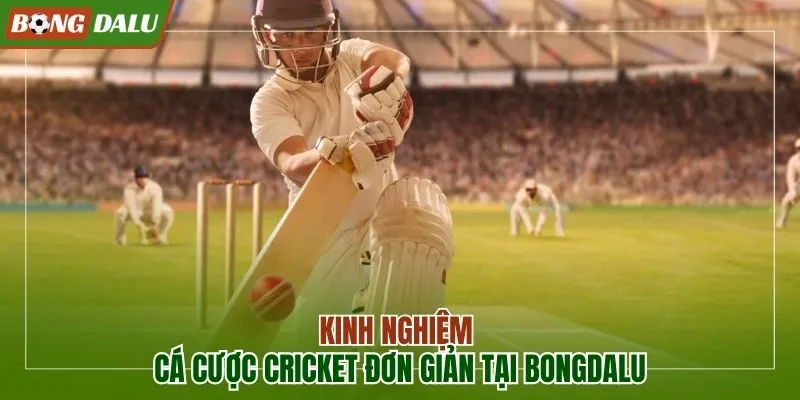 Cricket