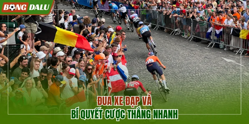 Đua xe đạp